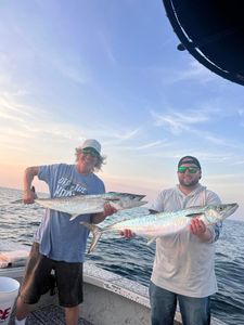 Doubled up on King Mackerel  in Tampa Bay, FL